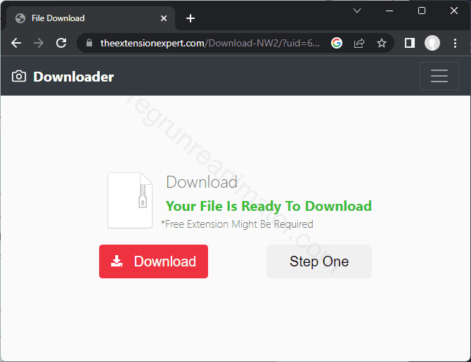 How to get rid of THEEXTENSIONEXPERT.COM virus